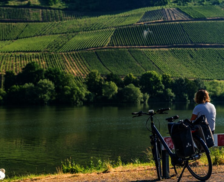 Kurze Pause bei Longuich mit Blick auf die Weinberge