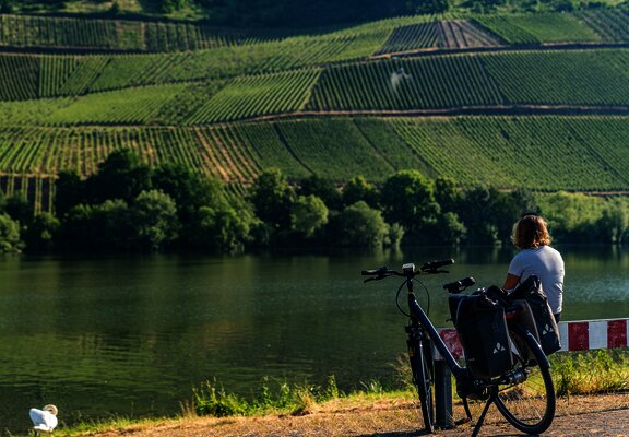 Kurze Pause bei Longuich mit Blick auf die Weinberge