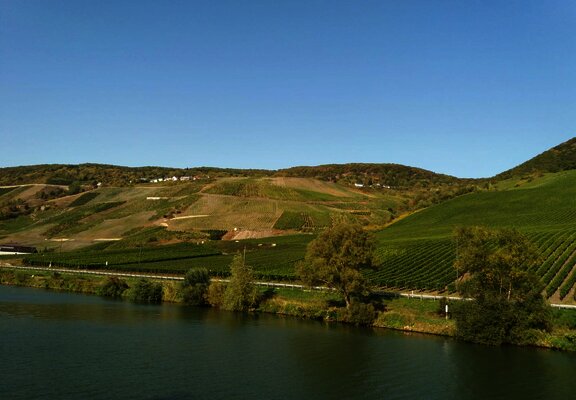 Mosellandschaft