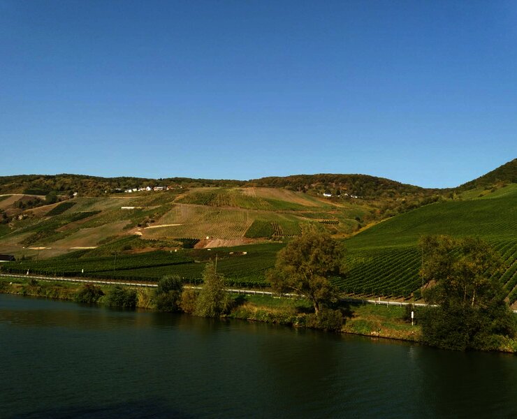 Mosellandschaft