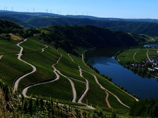 Piesport an der Mosel