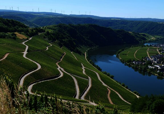 Piesport an der Mosel