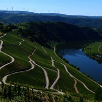 Piesport an der Mosel
