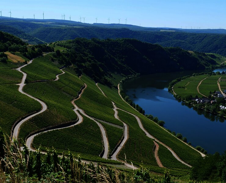 Piesport an der Mosel