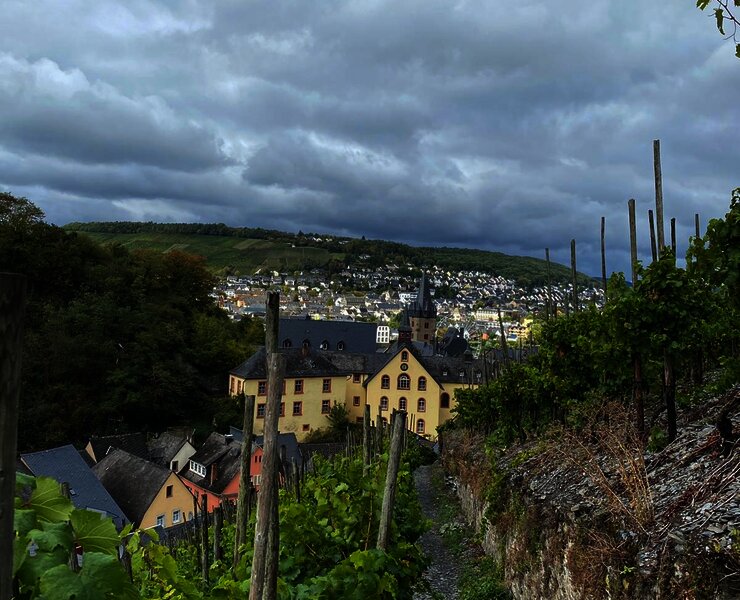 Oberhalb von Bernkastel-Kues