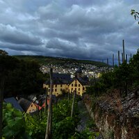 Oberhalb von Bernkastel-Kues