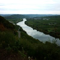 Blick flussabwärts aus den Kestener Weinbergen Richtung Brauneberg. Links am Hang einige Häuser von Kesten