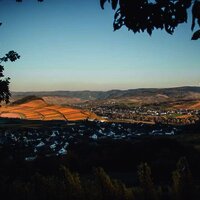 Monzel und das Moseltal