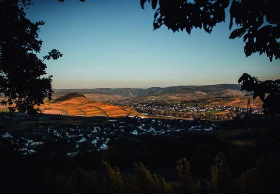 Monzel und das Moseltal