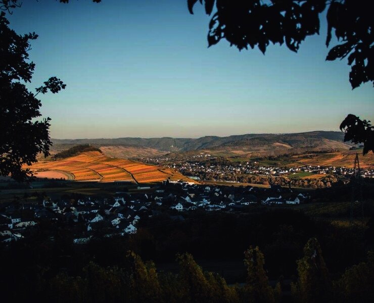 Monzel und das Moseltal