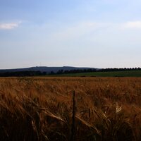 Felderlandschaft im Husnrück