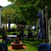 Weine im Grünen genießen