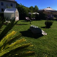 IMG_2411