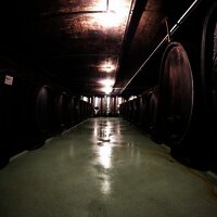 Weinkeller1