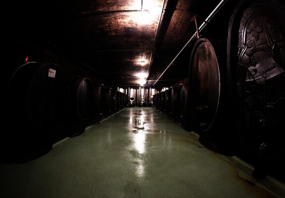 Weinkeller1