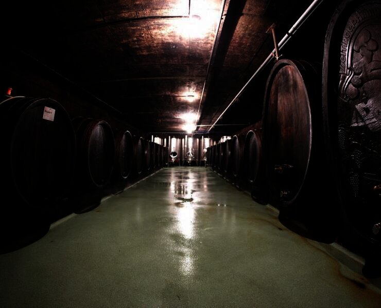 Weinkeller1