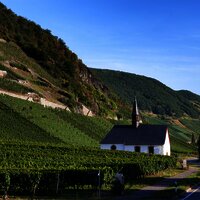 Märtyrerkapelle in den Weinbergen