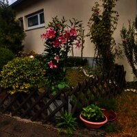 Vorgarten Gästehaus Rita Stefan