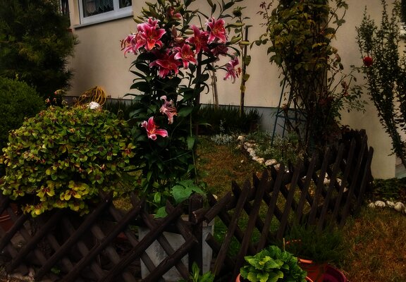 Vorgarten Gästehaus Rita Stefan