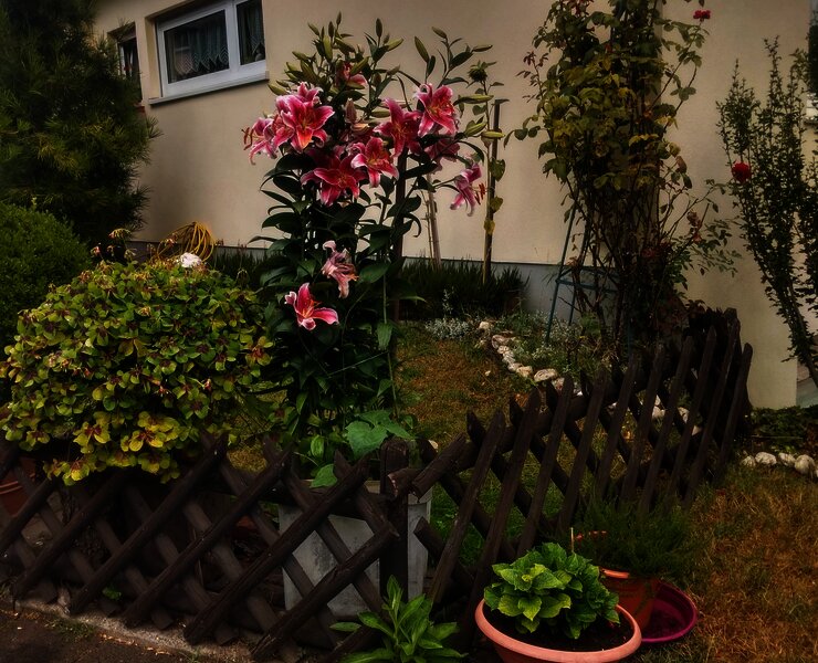 Vorgarten Gästehaus Rita Stefan