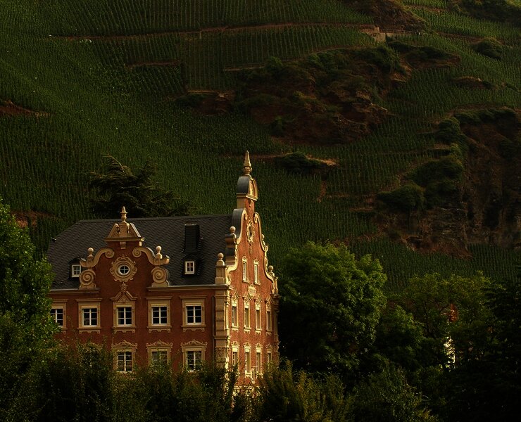 Weingut Mönchhof