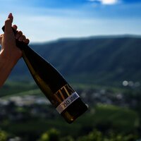 Weinflasche Weingut Reef