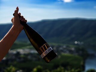 Weinflasche Weingut Reef