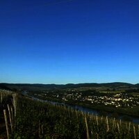 Schöner Ausblick auf die Mosel in den Weinbergen