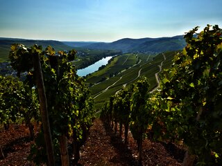 Weinhöfefest im Moselort Kesten