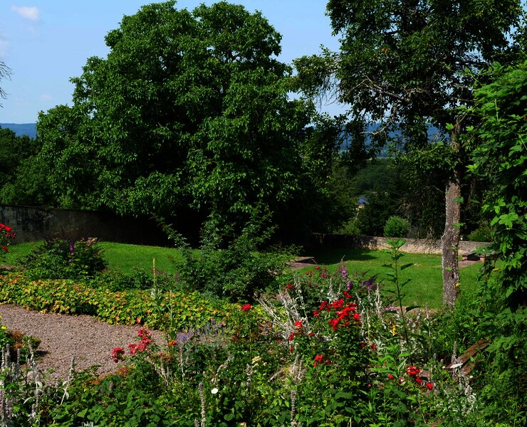 Grüner Garten