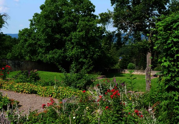 Grüner Garten