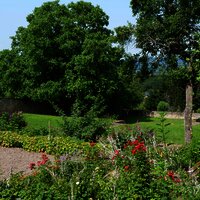 Grüner Garten