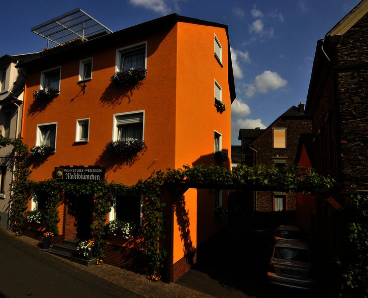 Hausansicht_Moselblümchen