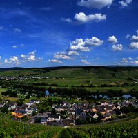 Ausblick von einem unserer Weinberge