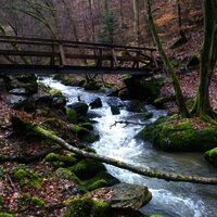 Steg über den Hinterbach