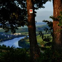 Ausblick entlang der Strecke