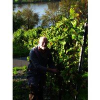 der-senior-rudolf-pauly-hat-spass-bei-der-weinernt