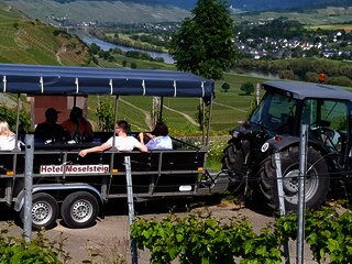 Planwagenfahrten mit dem Hotel Moselsteig