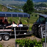 Planwagenfahrten mit dem Hotel Moselsteig