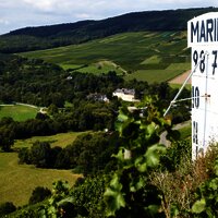 Maringer Sonnenuhr inmitten der Weinberge