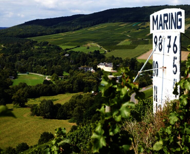 Maringer Sonnenuhr inmitten der Weinberge