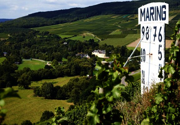 Maringer Sonnenuhr inmitten der Weinberge