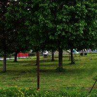 700 m2 voll eingezäunt