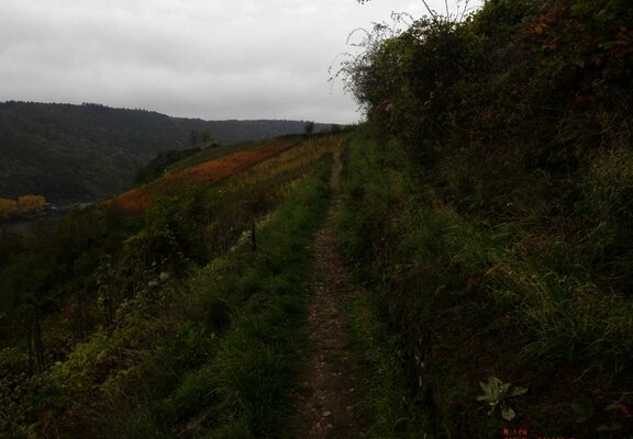 Pfadig durch den Hang oberhalb von Bruttig-Fankel