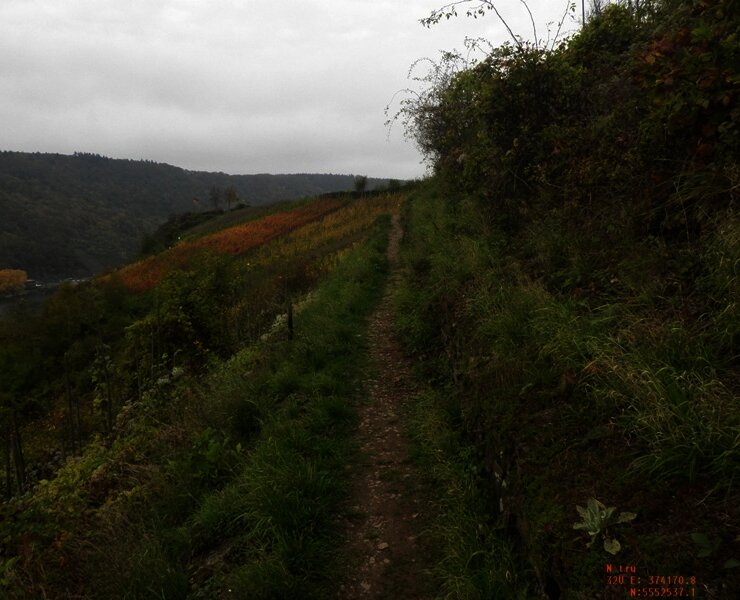 Pfadig durch den Hang oberhalb von Bruttig-Fankel
