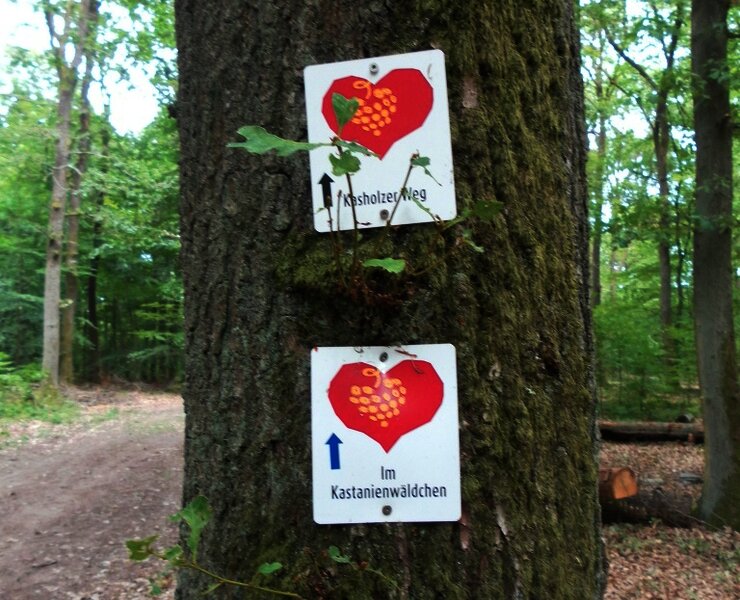 Wegbeschilderung entlang der Strecke