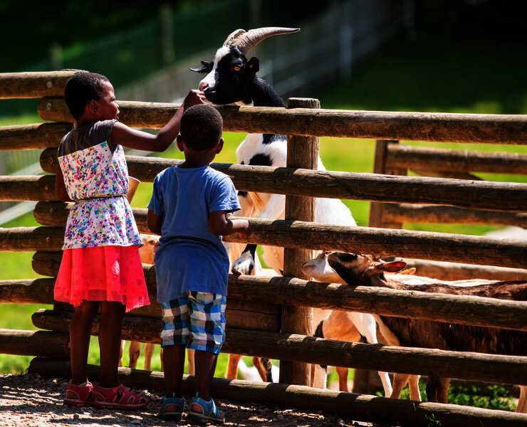 Das Bild zeigt zwei Kinder, die bei einem Ziegengehege stehen.