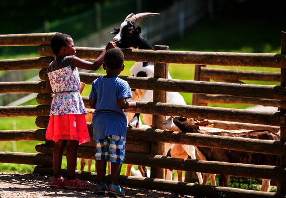 Das Bild zeigt zwei Kinder, die bei einem Ziegengehege stehen.
