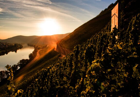 Brauneberger Juffer Sonnenuhr