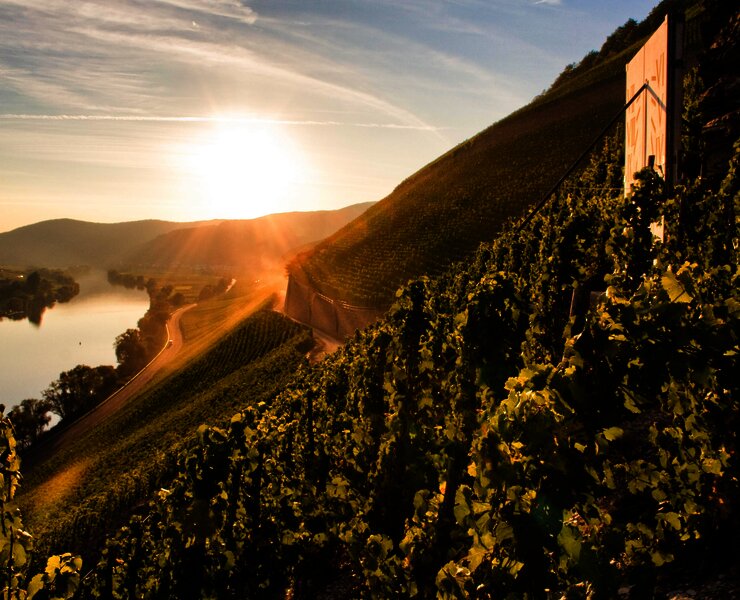 Brauneberger Juffer Sonnenuhr